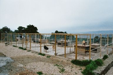Ein Teil des Shelters auf Aegina